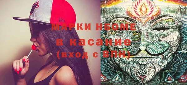 соль ск Няндома