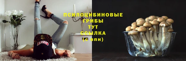 дмт Абдулино