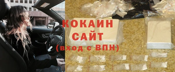 соль ск Няндома