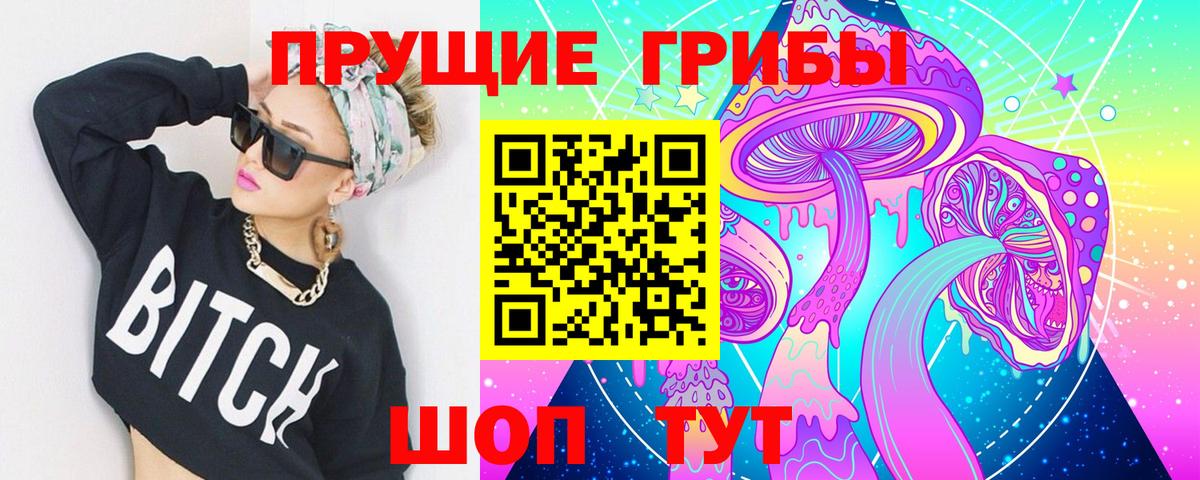 Псилоцибиновые грибы Psilocybine cubensis Кисловодск