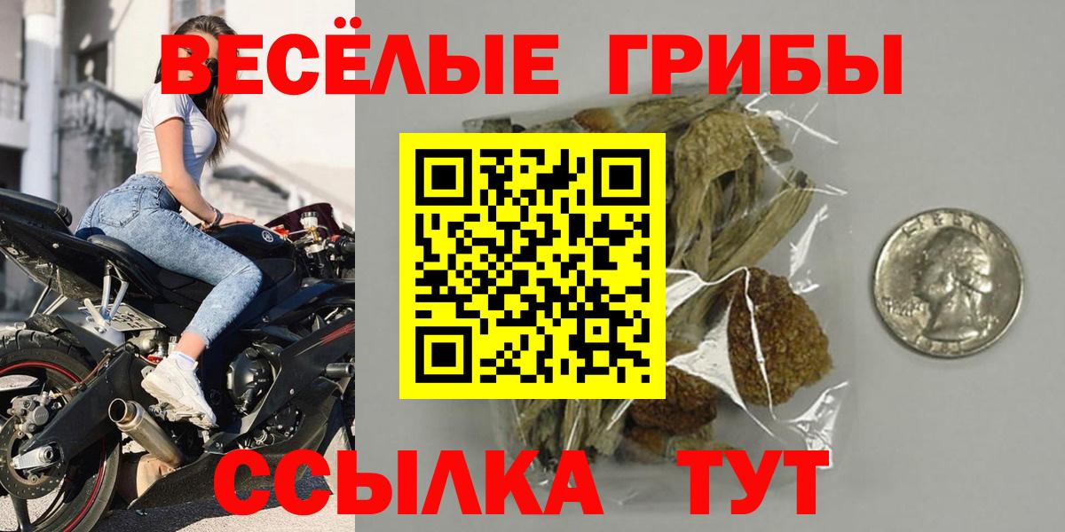 Галлюциногенные грибы MAGIC MUSHROOMS  Псилоцибиновые грибы прущие грибы  Вход с VPN  Кисловодск 
